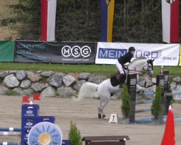 Reitturnier Preding 2023