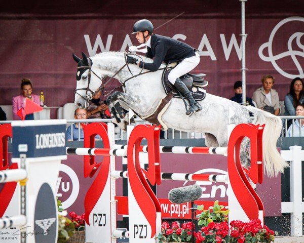 jumper camilla van de helle (Holsteiner, 2014, from Crumble)