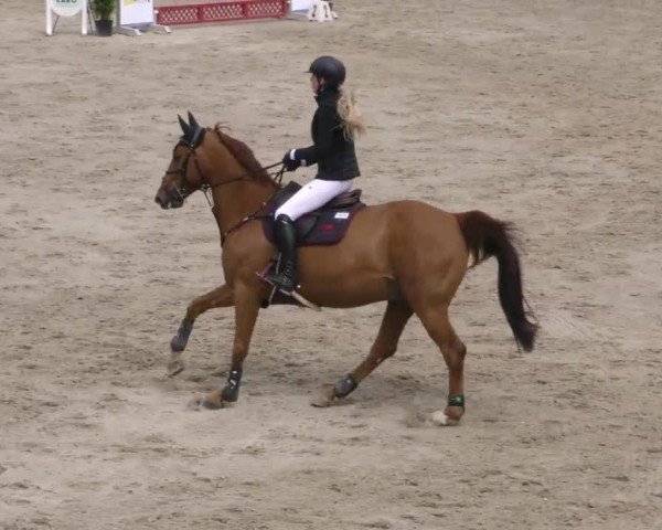 Reitturnier Preding 2023
