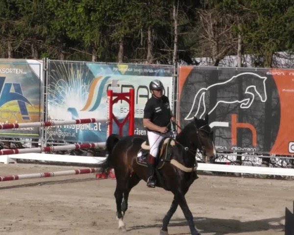 Reitturnier Preding 2023