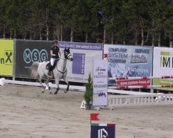 Reitturnier Preding 2023