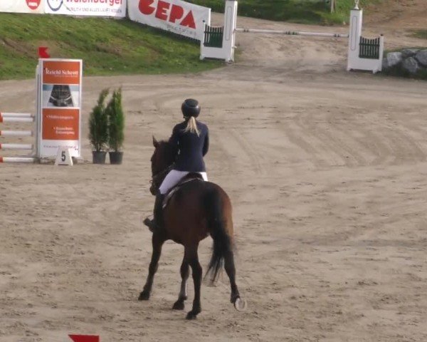Reitturnier Preding 2023