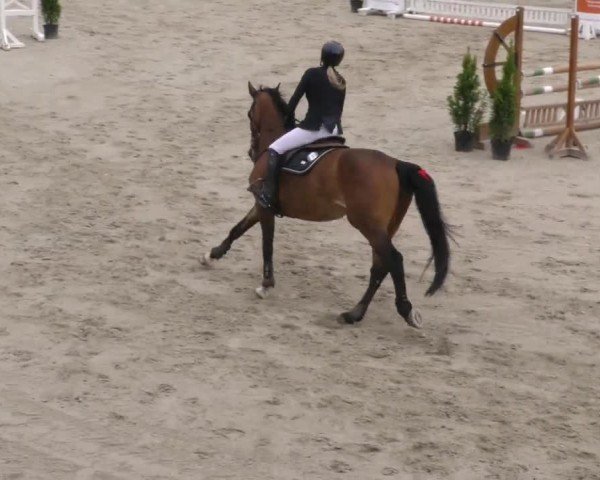 Reitturnier Preding 2023