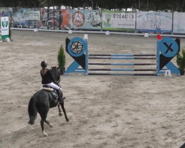 Reitturnier Preding 2023