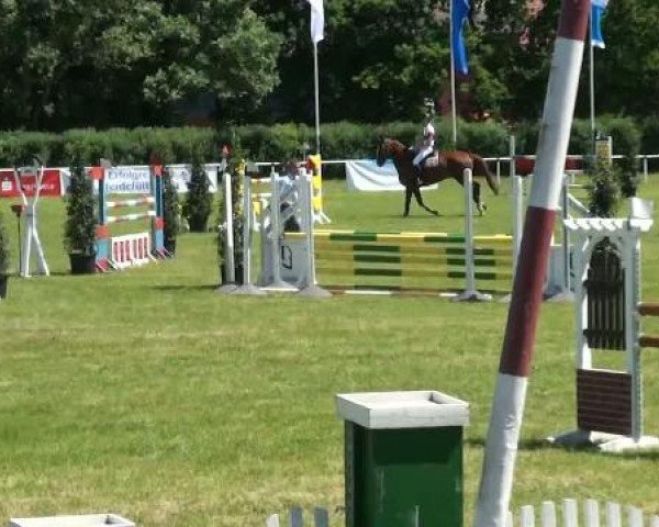 Ostenfelde-Vornholz  Dressur und Springturnier 2012