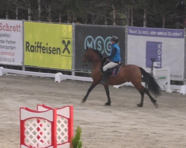 Reitturnier Preding 2023