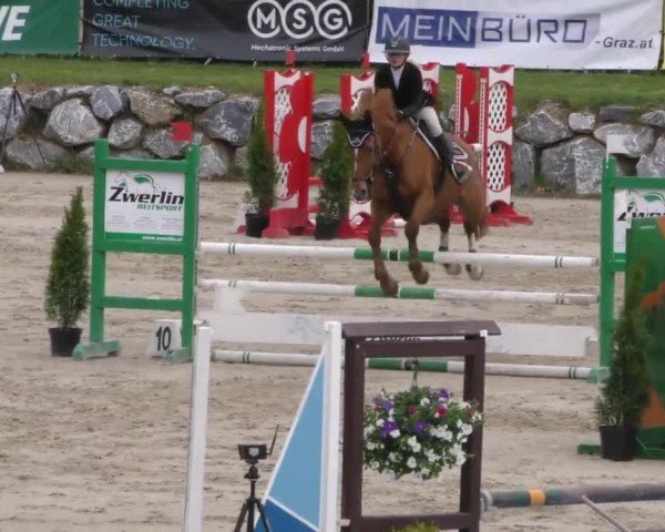 Reitturnier Preding 2023