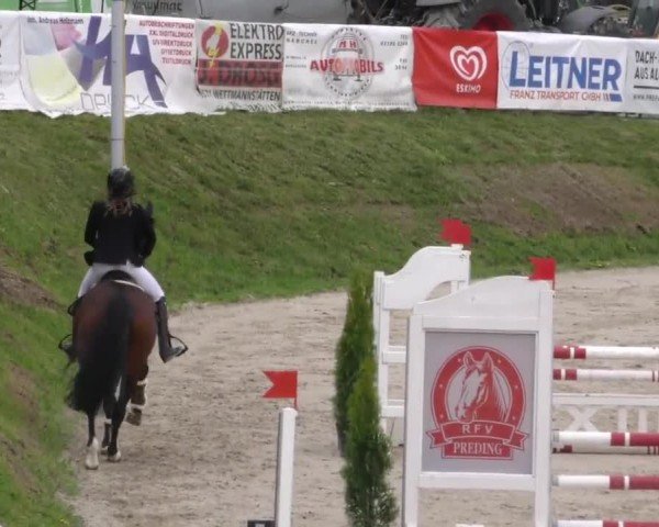 Reitturnier Preding 2023