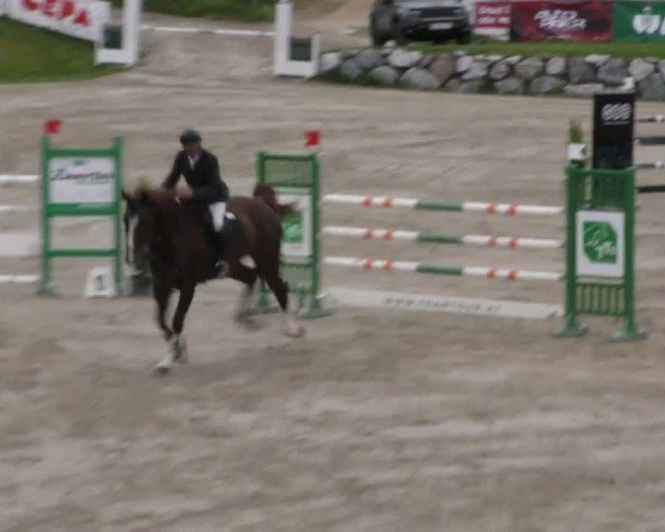 Reitturnier Preding 2023