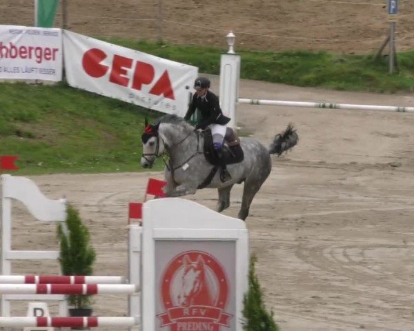 Reitturnier Preding 2023