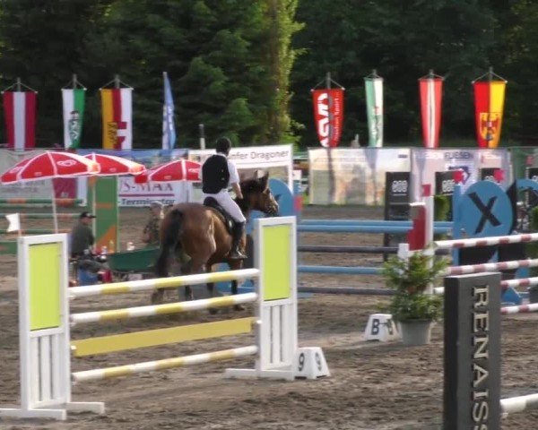 Reitturnier Tillmitsch 2023
