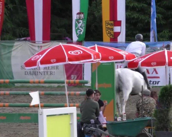 Reitturnier Tillmitsch 2023