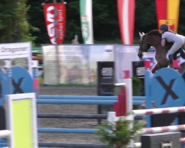 Reitturnier Tillmitsch 2023
