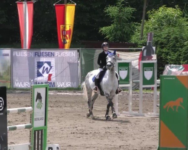 Reitturnier Tillmitsch 2023