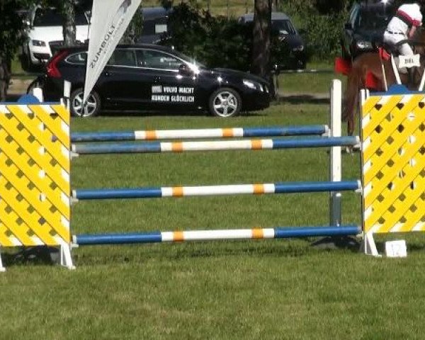 Ostenfelde-Vornholz  Dressur und Springturnier 2012