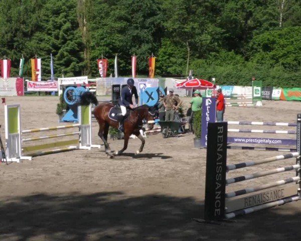 Reitturnier Tillmitsch 2023