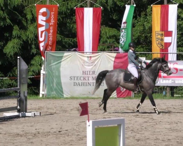 Reitturnier Tillmitsch 2023