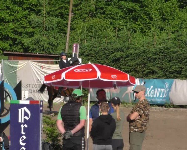 Reitturnier Tillmitsch 2023