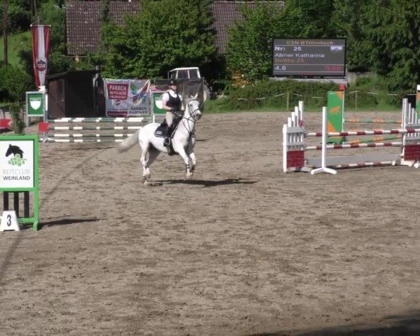 Reitturnier Tillmitsch 2023