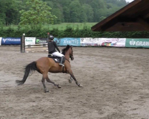 Reitturnier Tillmitsch 2023