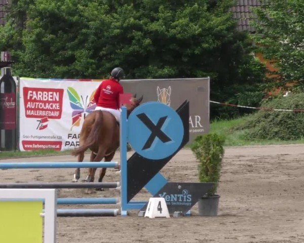 Reitturnier Tillmitsch 2023