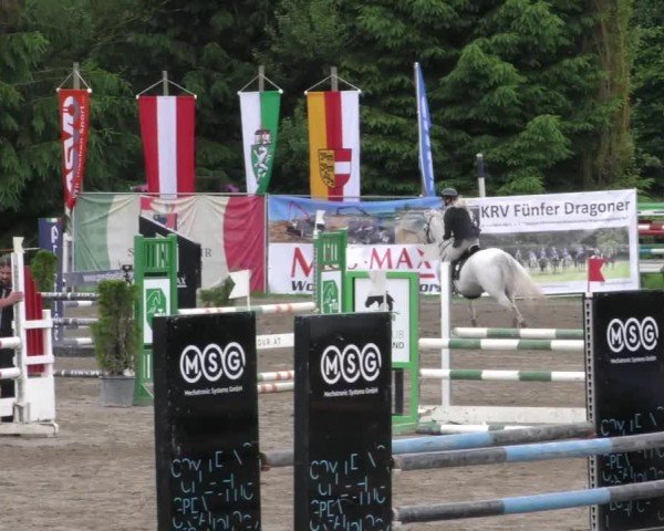 Reitturnier Tillmitsch 2023