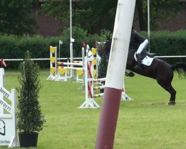 Ostenfelde-Vornholz  Dressur und Springturnier 2012