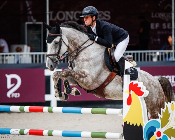 jumper Goodluck de La Bauche (Selle Français, 2016, from Upsilon AA)