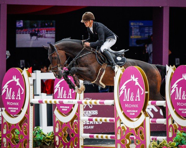 Springhest Indendo (KWPN (Hollandsk Varmblod), 2013, fra Breitling LS)