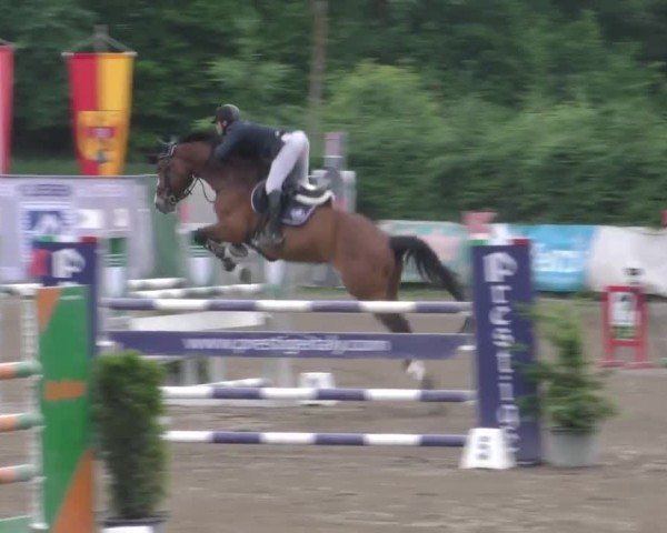 Reitturnier Tillmitsch 2023
