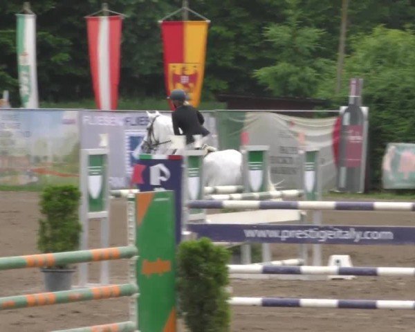 Reitturnier Tillmitsch 2023