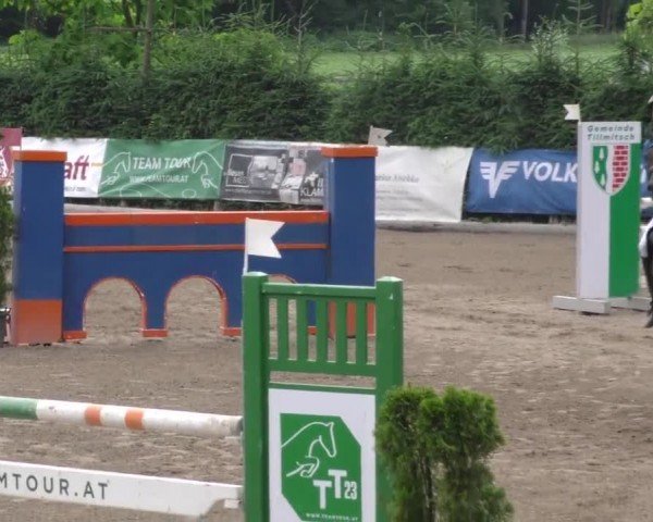 Reitturnier Tillmitsch 2023