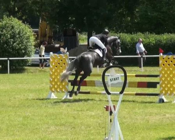 Ostenfelde-Vornholz  Dressur und Springturnier 2012