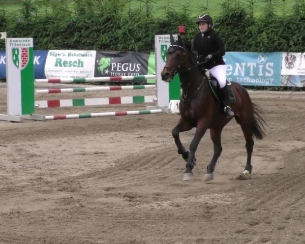 Reitturnier Tillmitsch 2023
