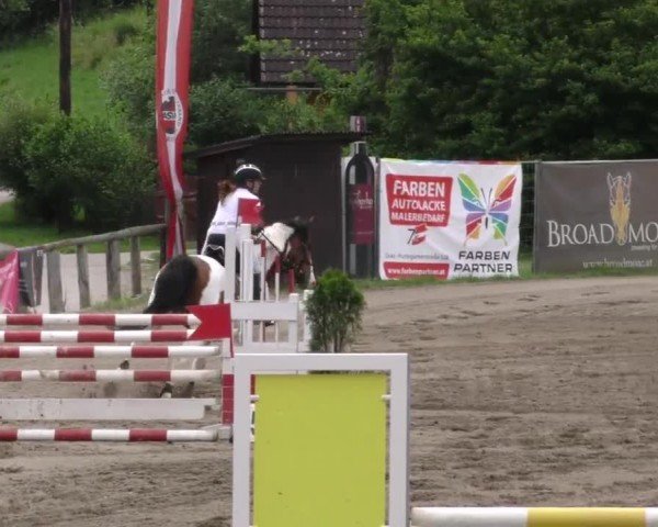Reitturnier Tillmitsch 2023