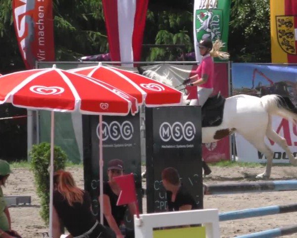 Reitturnier Tillmitsch 2023