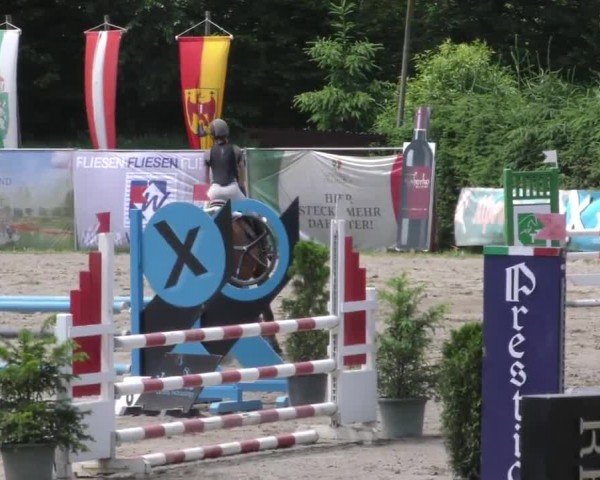 Reitturnier Tillmitsch 2023