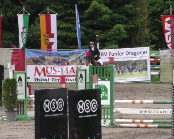 Reitturnier Tillmitsch 2023