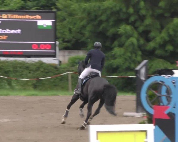 Reitturnier Tillmitsch 2023