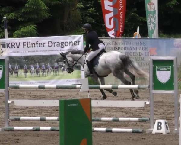 Reitturnier Tillmitsch 2023