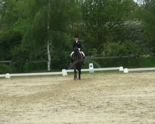 Lienen Dressur und Springturnier 2012