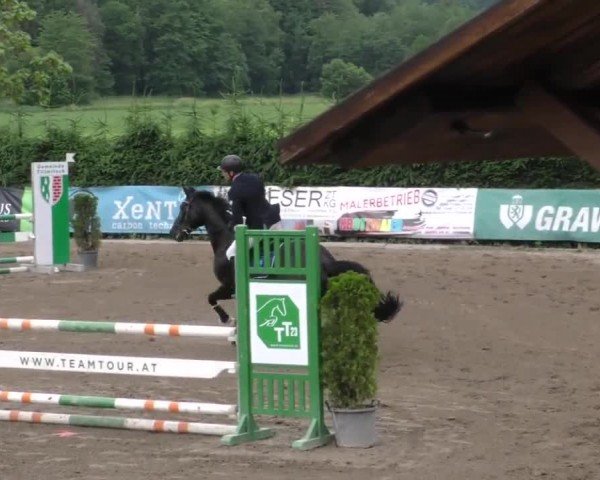 Reitturnier Tillmitsch 2023