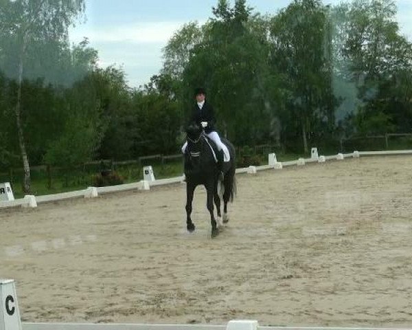 Lienen Dressur und Springturnier 2012