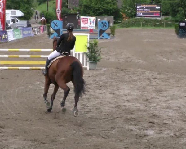 Reitturnier Tillmitsch 2023