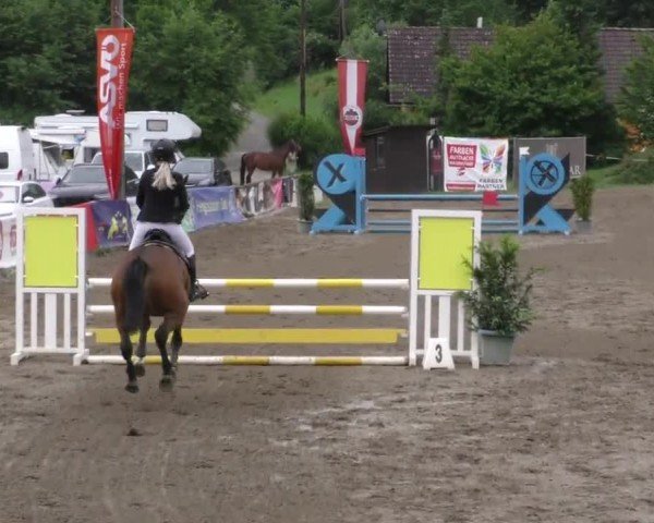 Reitturnier Tillmitsch 2023