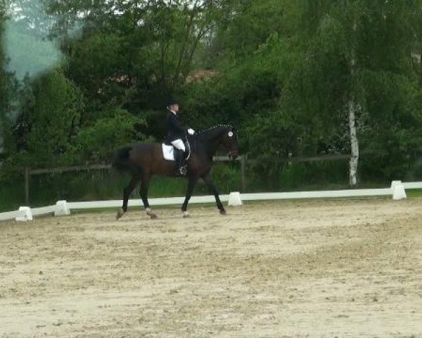Lienen Dressur und Springturnier 2012