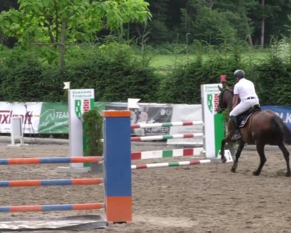 Reitturnier Tillmitsch 2023