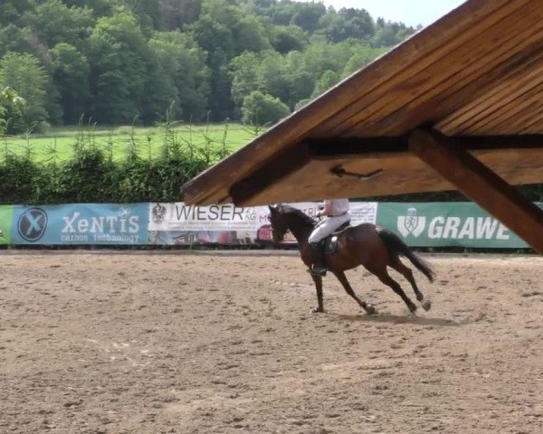 Reitturnier Tillmitsch 2023