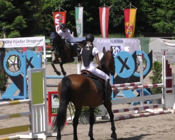 Reitturnier Tillmitsch 2023