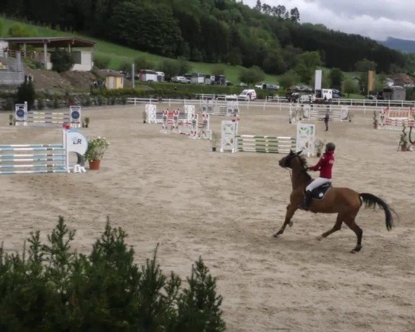 Reitturnier St. Margarethen 2022